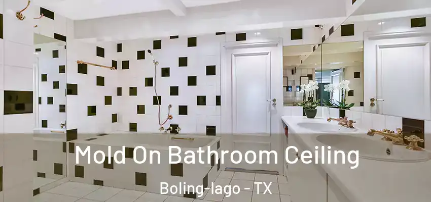  Mold On Bathroom Ceiling Boling-Iago - TX