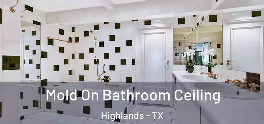 Mold On Bathroom Ceiling Highlands - TX