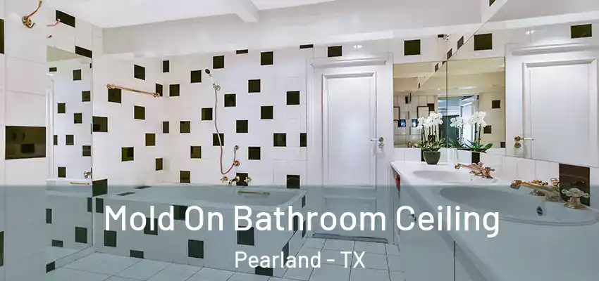  Mold On Bathroom Ceiling Pearland - TX