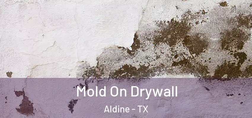  Mold On Drywall Aldine - TX