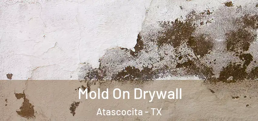 Mold On Drywall Atascocita - TX