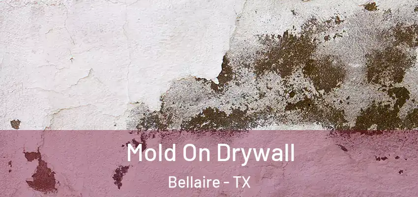 Mold On Drywall Bellaire - TX
