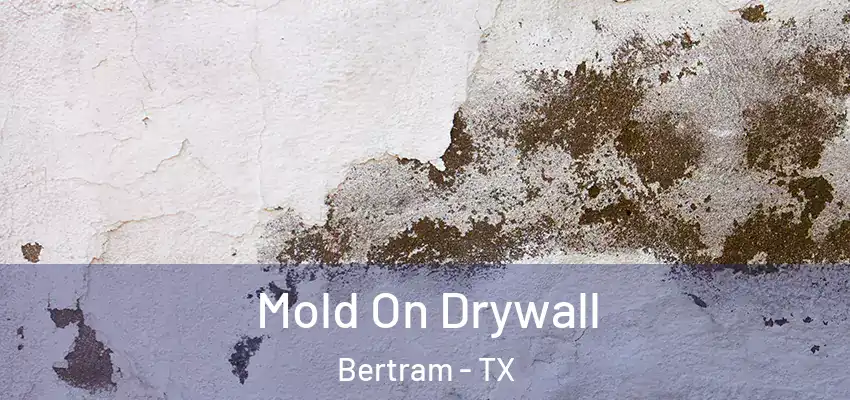 Mold On Drywall Bertram - TX