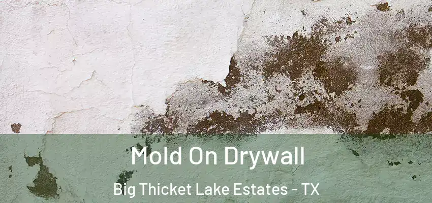  Mold On Drywall Big Thicket Lake Estates - TX