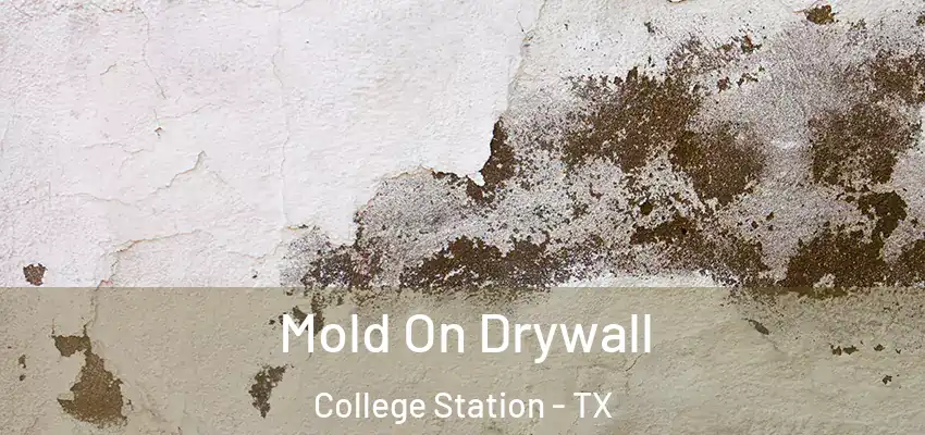 Mold On Drywall College Station - TX