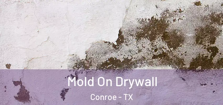 Mold On Drywall Conroe - TX