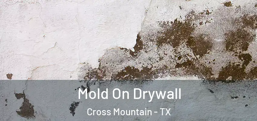 Mold On Drywall Cross Mountain - TX