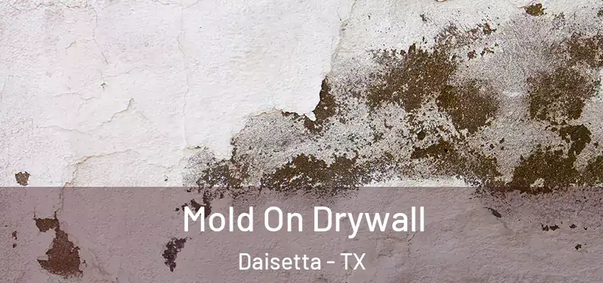  Mold On Drywall Daisetta - TX