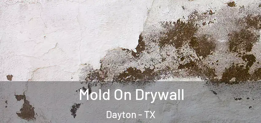  Mold On Drywall Dayton - TX