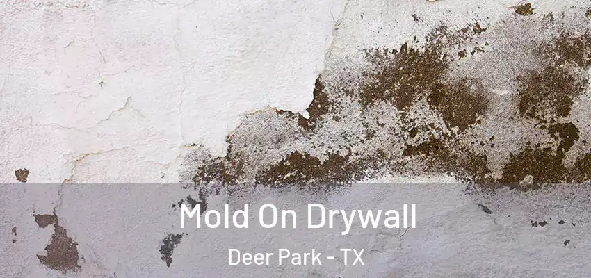  Mold On Drywall Deer Park - TX