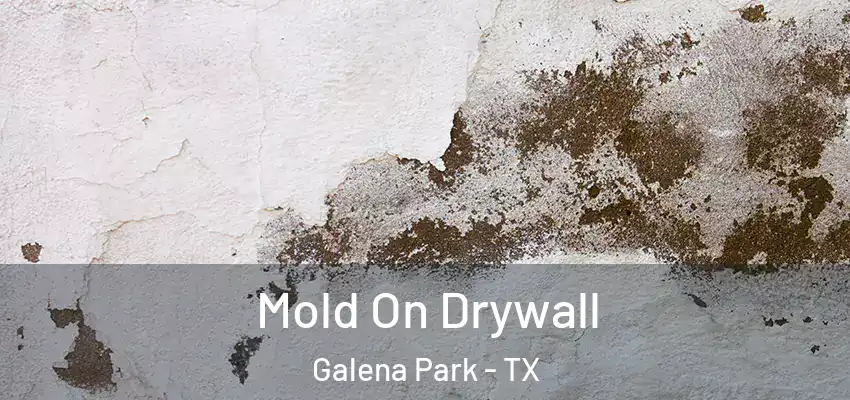  Mold On Drywall Galena Park - TX