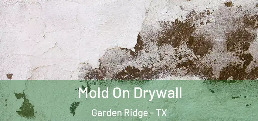  Mold On Drywall Garden Ridge - TX
