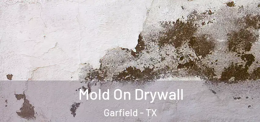 Mold On Drywall Garfield - TX