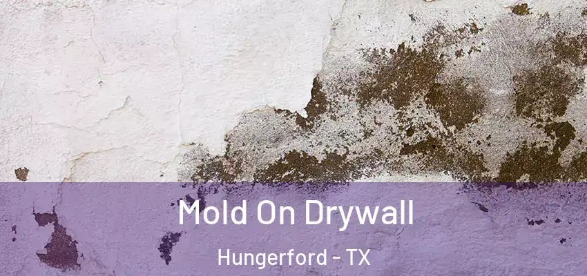  Mold On Drywall Hungerford - TX