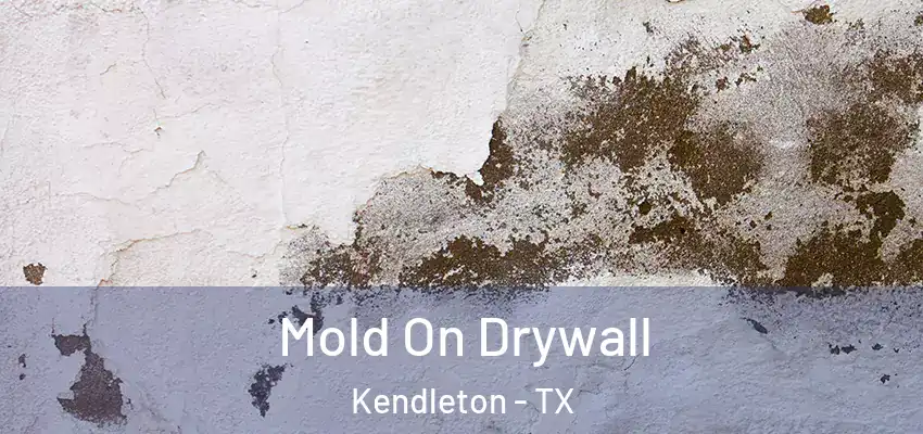  Mold On Drywall Kendleton - TX