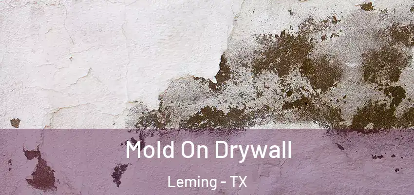  Mold On Drywall Leming - TX