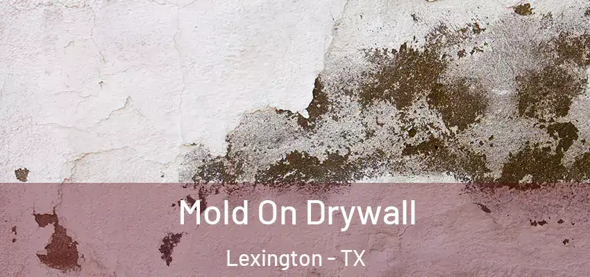  Mold On Drywall Lexington - TX