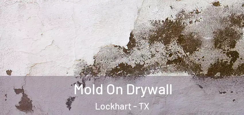 Mold On Drywall Lockhart - TX
