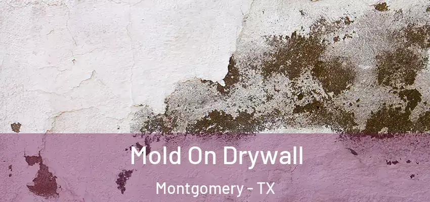  Mold On Drywall Montgomery - TX