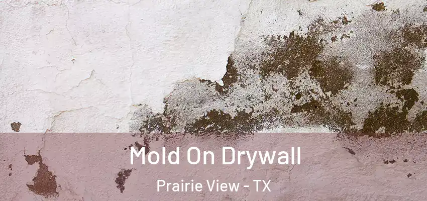  Mold On Drywall Prairie View - TX