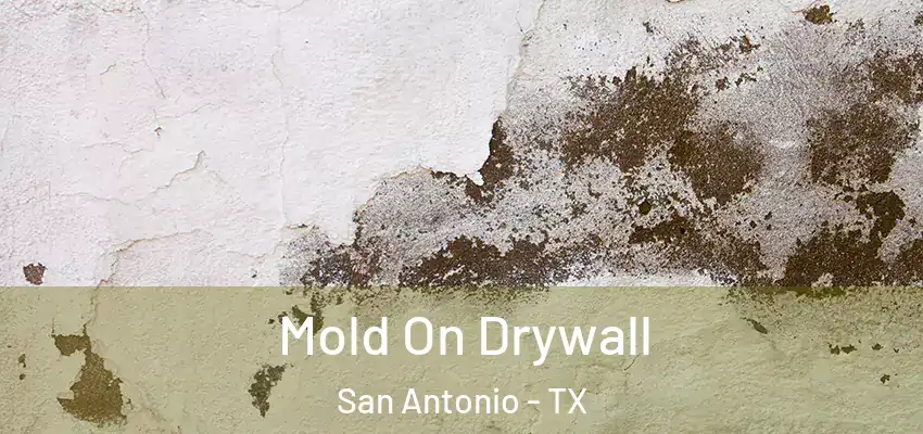  Mold On Drywall San Antonio - TX