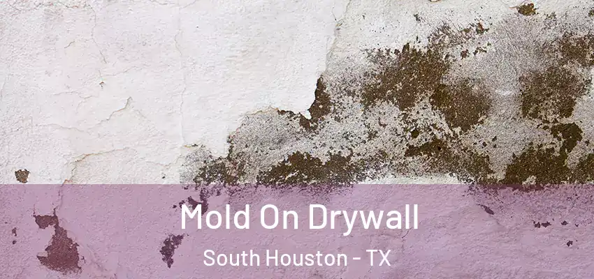 Mold On Drywall South Houston - TX