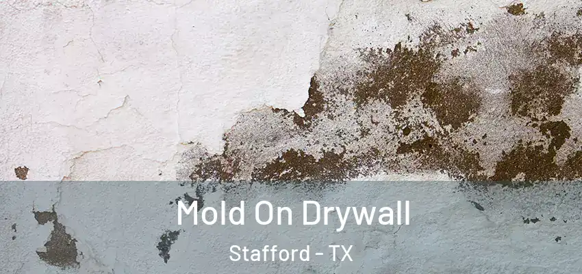  Mold On Drywall Stafford - TX