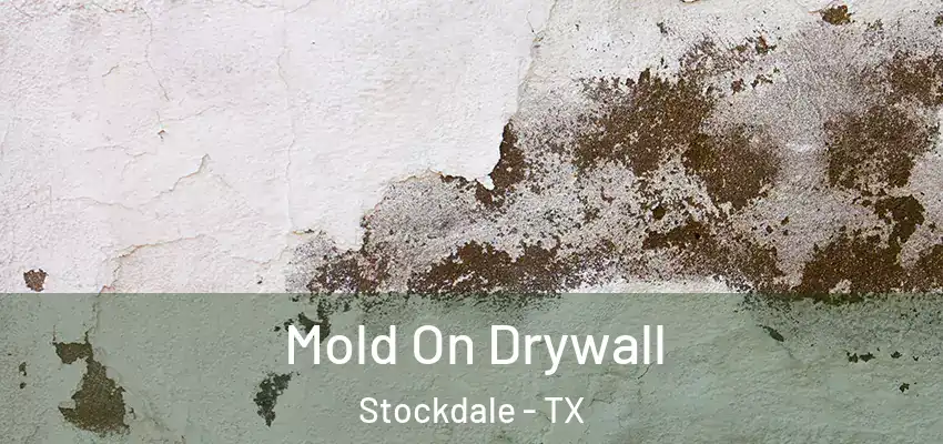  Mold On Drywall Stockdale - TX