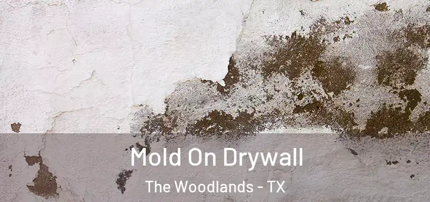 Mold On Drywall The Woodlands - TX