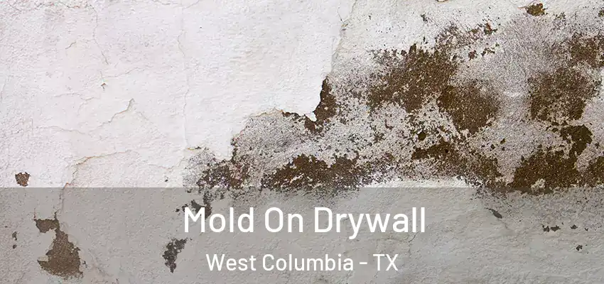  Mold On Drywall West Columbia - TX