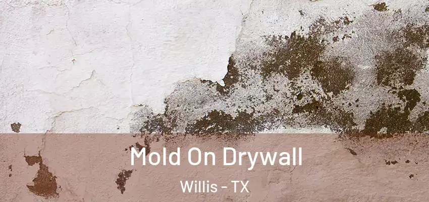  Mold On Drywall Willis - TX