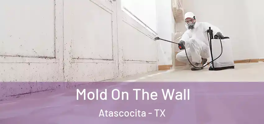  Mold On The Wall Atascocita - TX