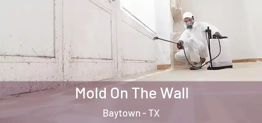  Mold On The Wall Baytown - TX
