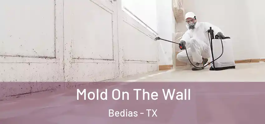 Mold On The Wall Bedias - TX