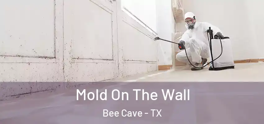  Mold On The Wall Bee Cave - TX