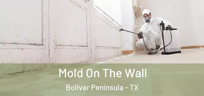 Mold On The Wall Bolivar Peninsula - TX