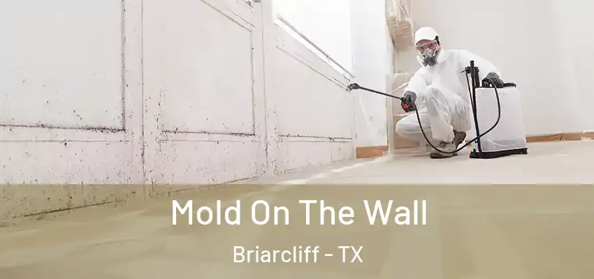 Mold On The Wall Briarcliff - TX