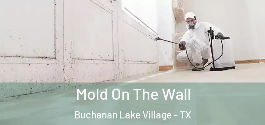 Mold On The Wall Buchanan Lake Village - TX