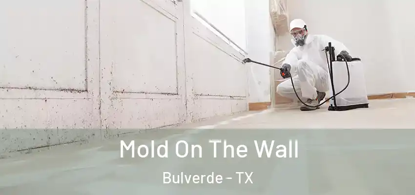  Mold On The Wall Bulverde - TX