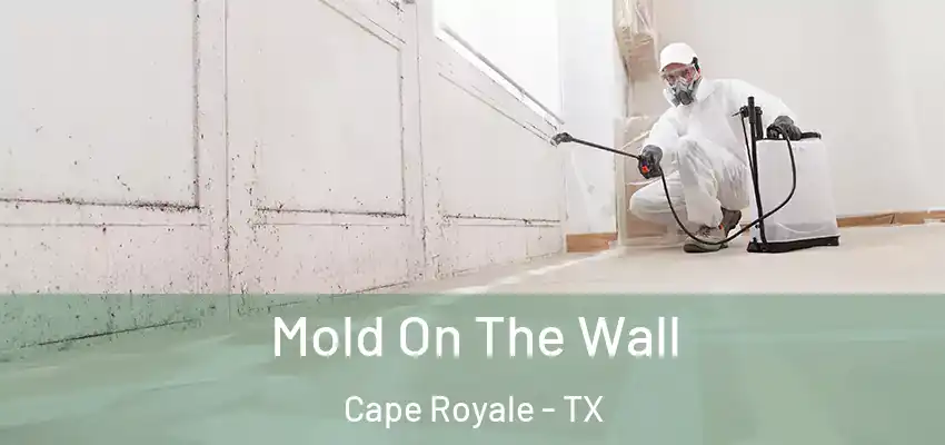  Mold On The Wall Cape Royale - TX