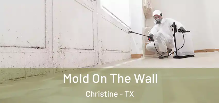 Mold On The Wall Christine - TX