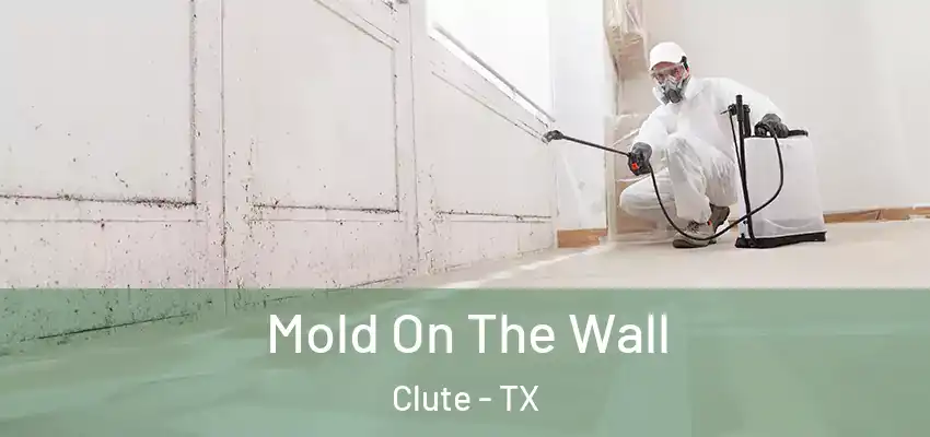 Mold On The Wall Clute - TX