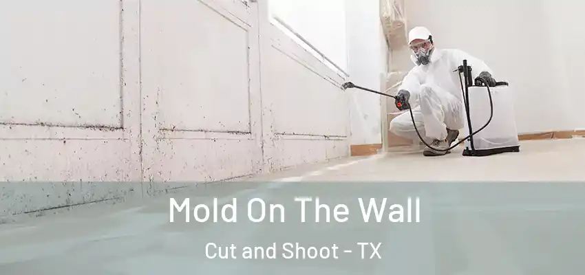  Mold On The Wall Cut and Shoot - TX