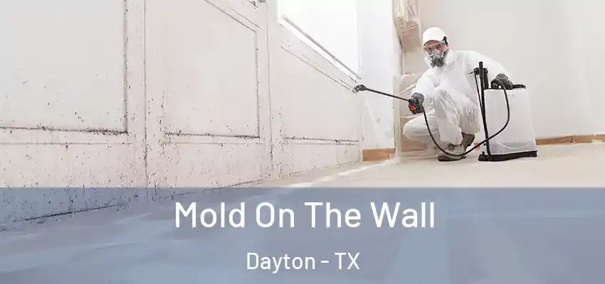  Mold On The Wall Dayton - TX