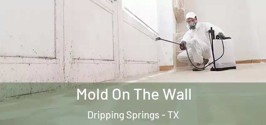 Mold On The Wall Dripping Springs - TX