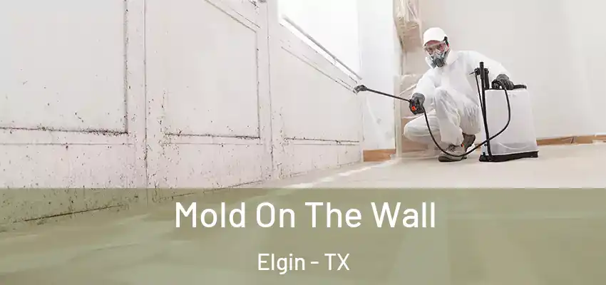  Mold On The Wall Elgin - TX