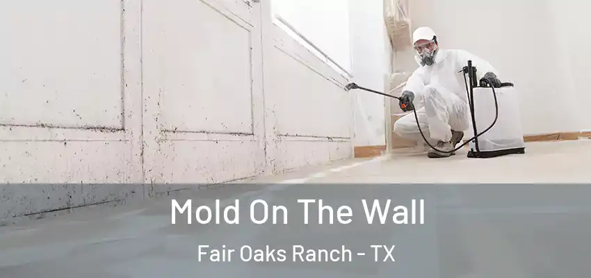 Mold On The Wall Fair Oaks Ranch - TX
