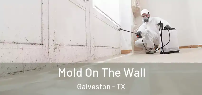  Mold On The Wall Galveston - TX