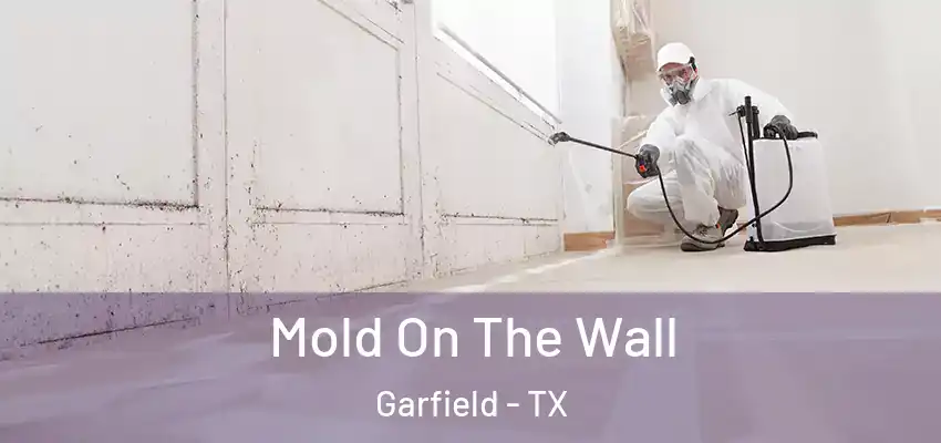  Mold On The Wall Garfield - TX