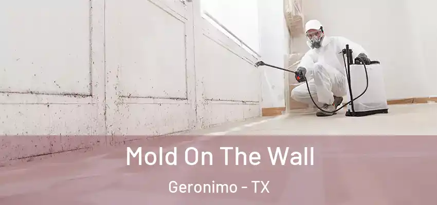  Mold On The Wall Geronimo - TX